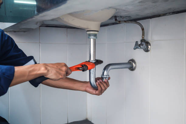 Best Clogged Drain Plumber  in Buena Vista, MI